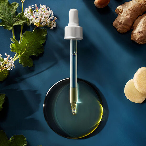 Tratamento para Couro Cabeludo Seco Moroccanoil Dry Scalp Treatment